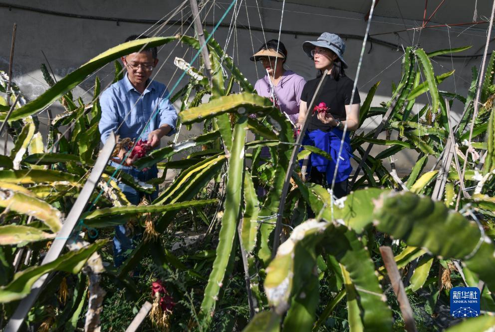 威尼斯网投6146.com